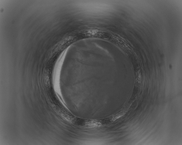 X0000062640754200601111125