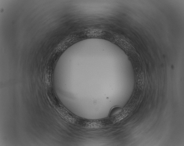 X0000062640755200601111125