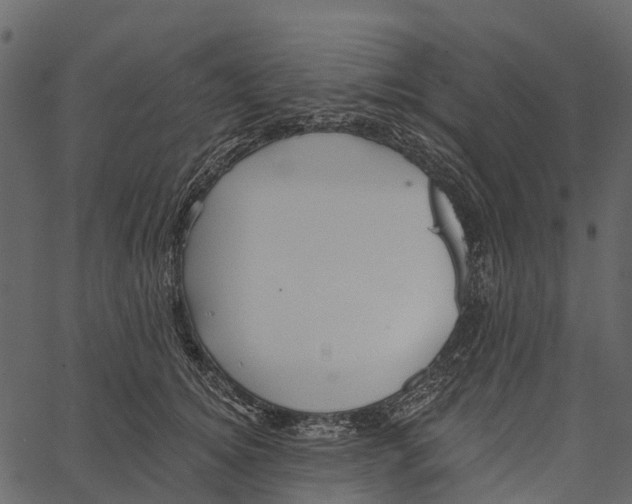 X0000062640756200601111125