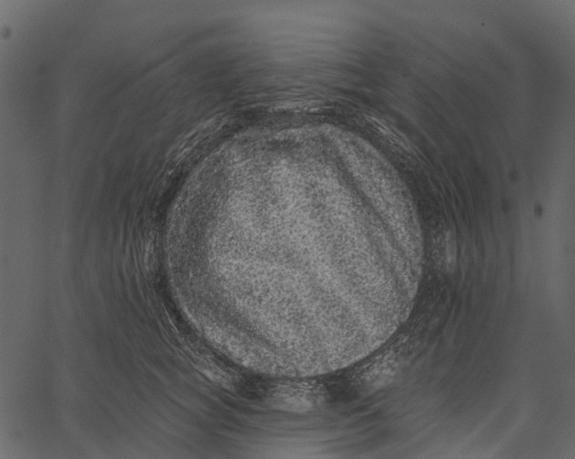 X0000062640757200601111125