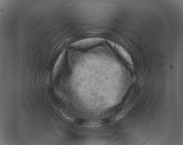 X0000062640758200601111125