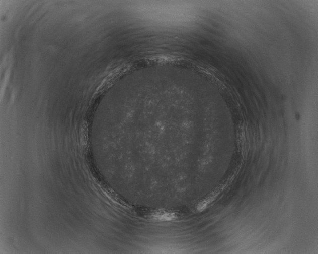 X0000062640760200601111125