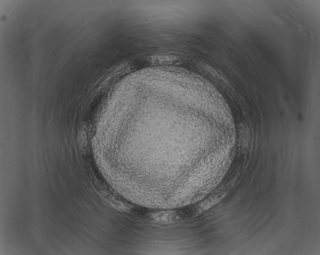 X0000062640761200601111126