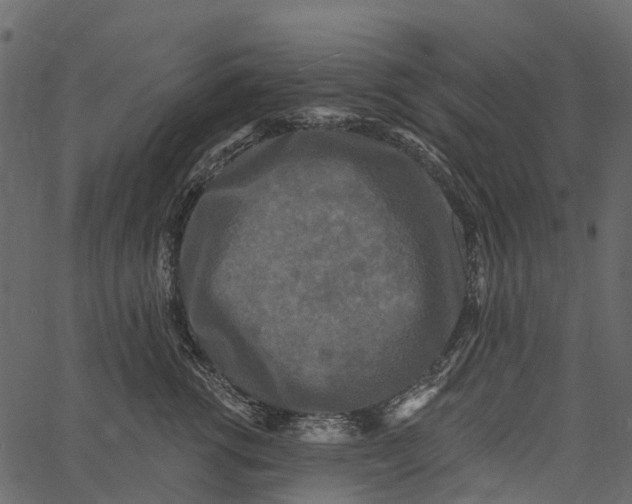 X0000062640762200601111126