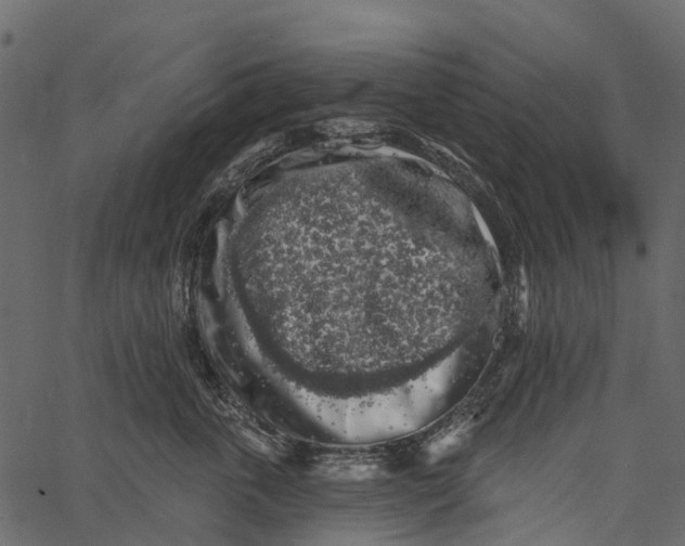 X0000062640763200601111126