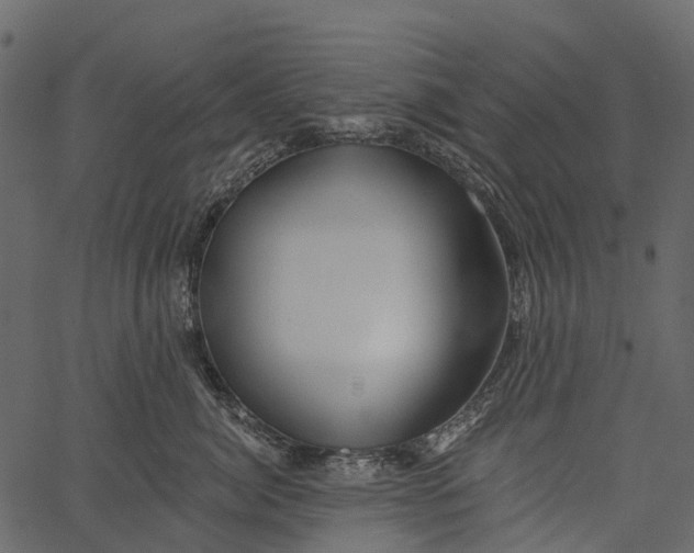 X0000062640764200601111126