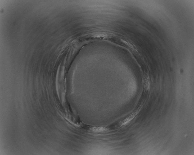 X0000062640766200601111126