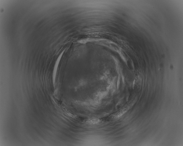 X0000062640767200601111126