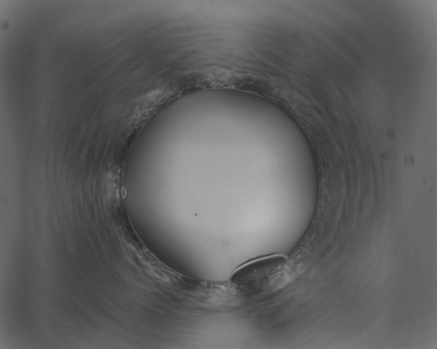 X0000062640768200601111126