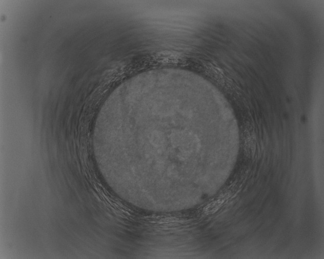 X0000062640769200601111125