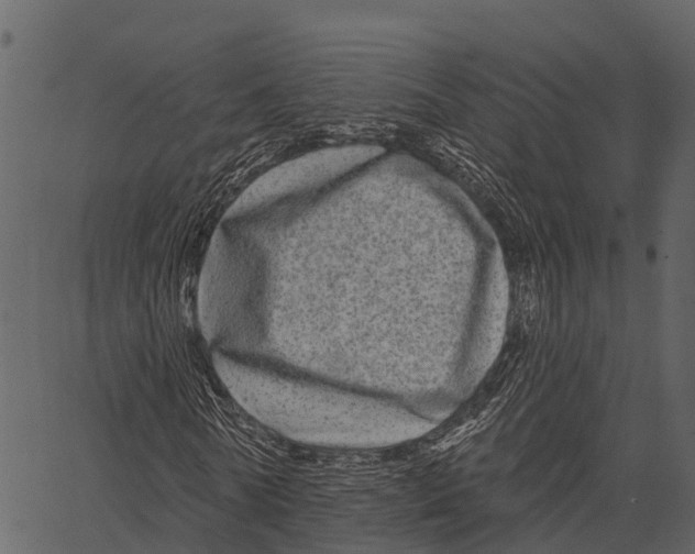 X0000062640770200601111125