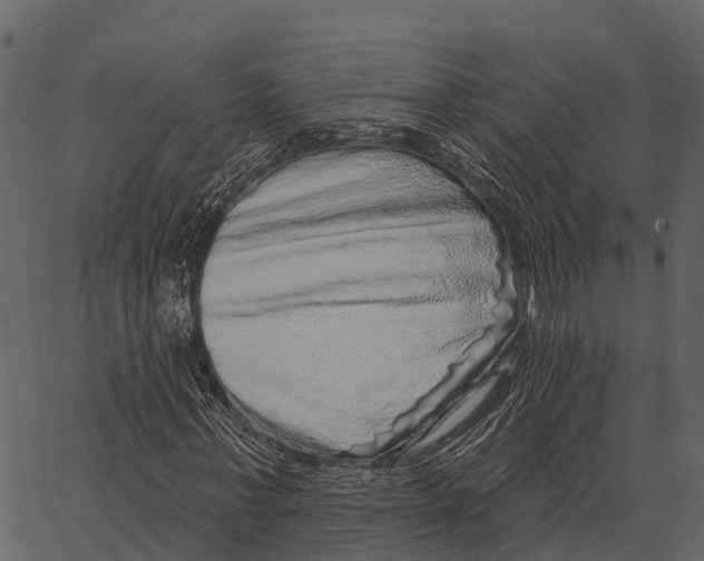 X0000062640771200601111125