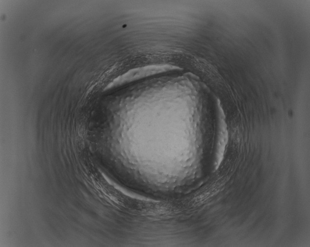 X0000062640772200601111125