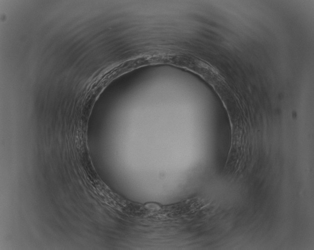 X0000062640773200601111125