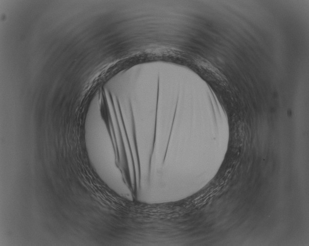 X0000062640776200601111125