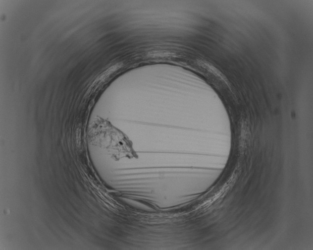 X0000062640777200601111125