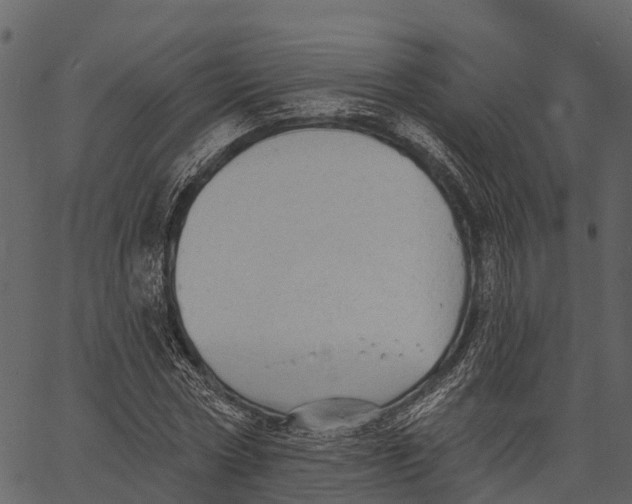 X0000062640778200601111125