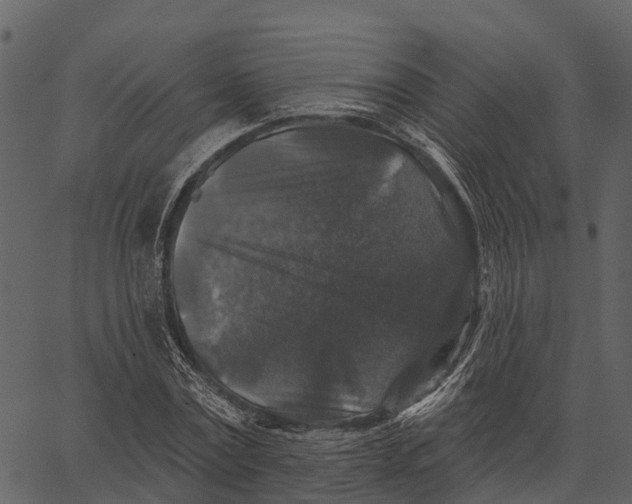 X0000062640779200601111125