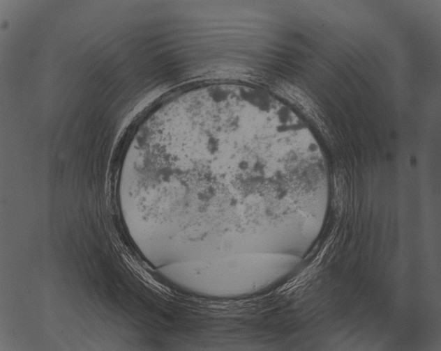 X0000062640780200601111125