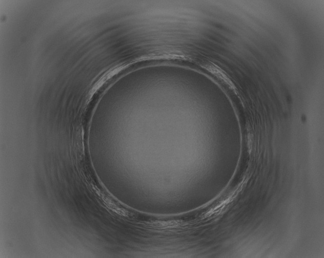 X0000062640781200601111125