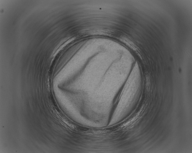 X0000062640782200601111125