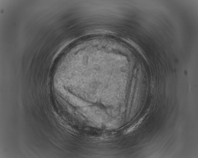 X0000062640783200601111125