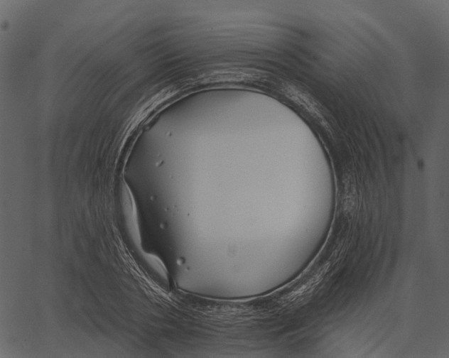 X0000062640786200601111125