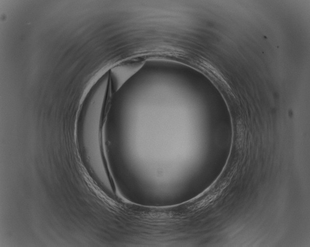 X0000062640788200601111125