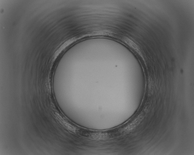 X0000062640789200601111124