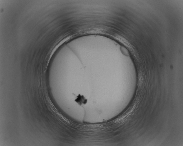 X0000062640790200601111124