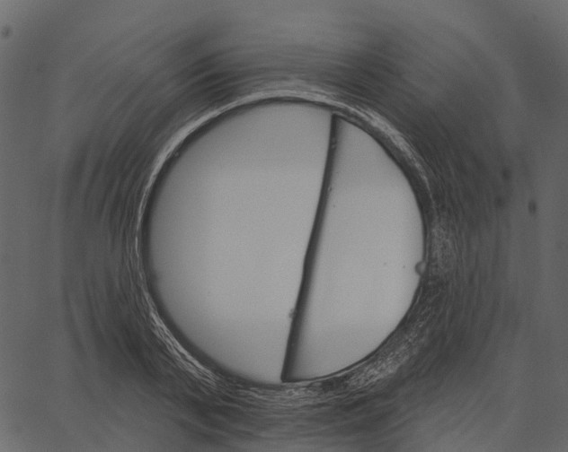 X0000062640791200601111124