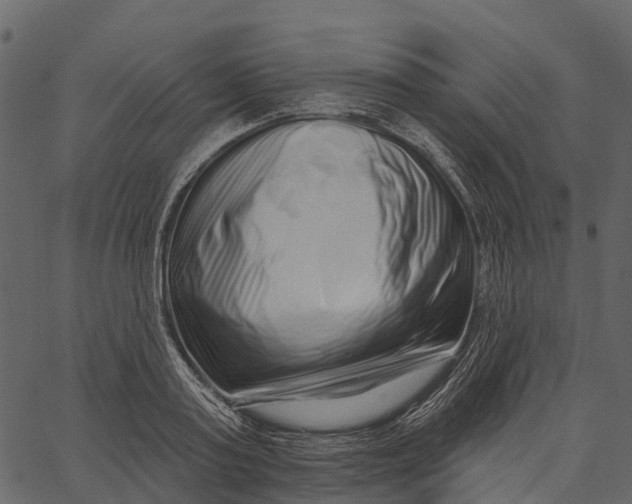 X0000062640795200601111124