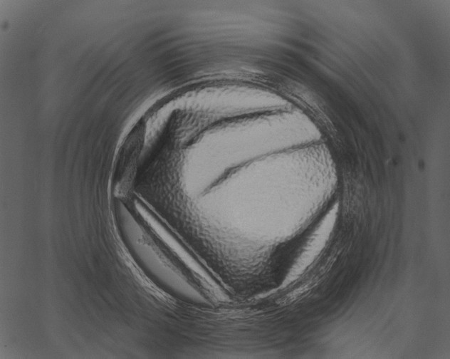 X0000062640796200601111124