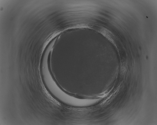 X0000062640797200601111124