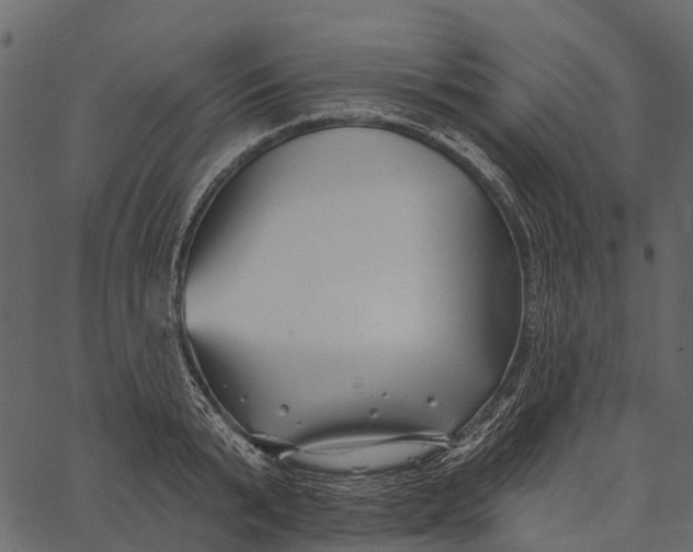 X0000062640799200601111124