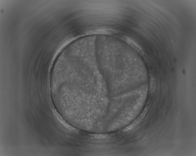 X0000062640800200601111124