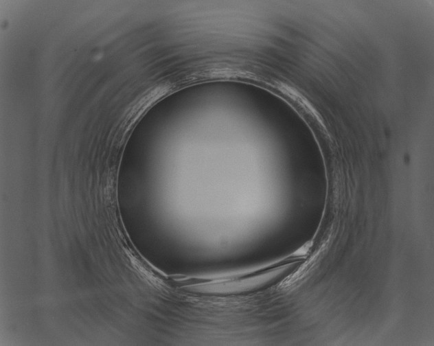 X0000062640801200601111124