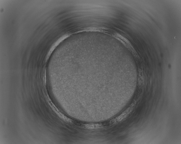 X0000062640804200601111124