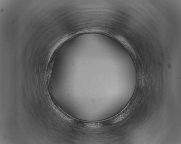 X0000062640805200601111124