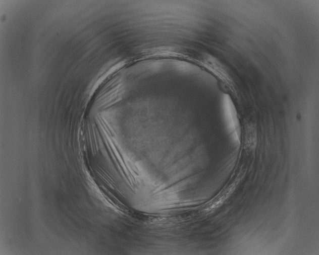 X0000062640806200601111124