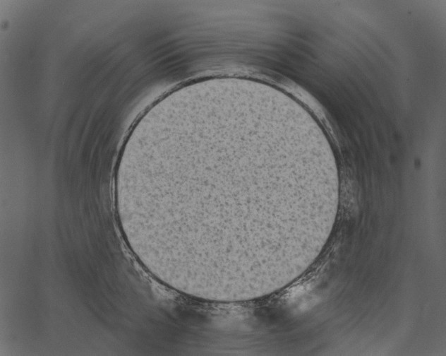 X0000062640807200601111124