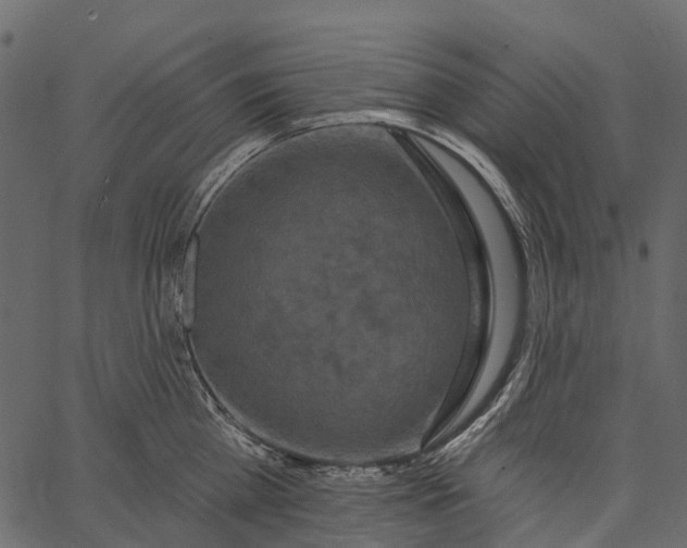 X0000062640809200601111124