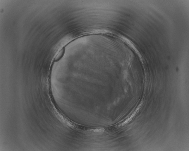 X0000062640810200601111124