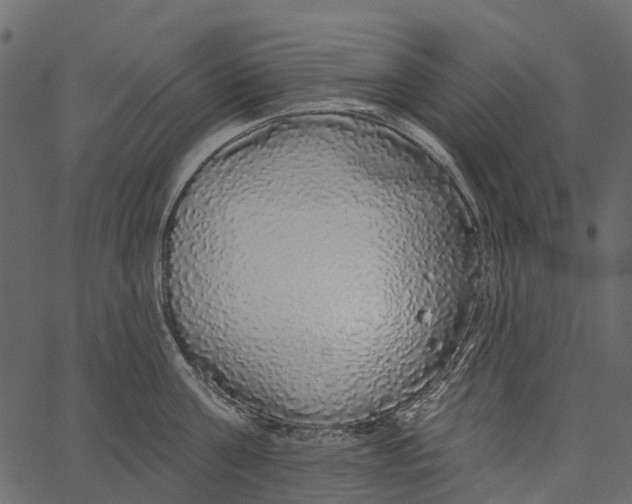 X0000062640811200601111124