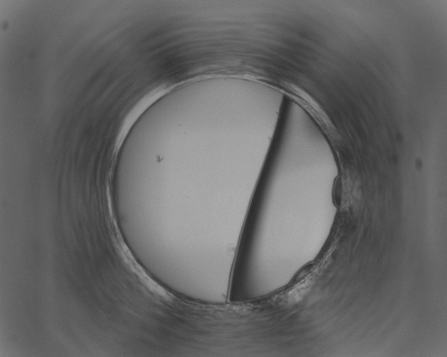 X0000062640812200601111124