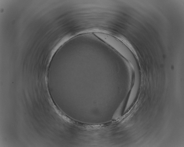 X0000062640813200601111124