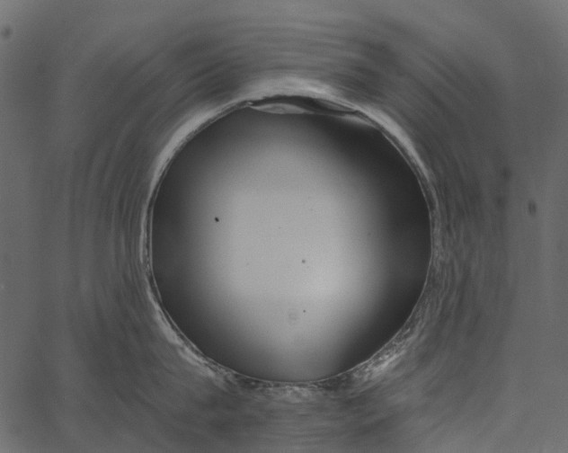 X0000062640815200601111124