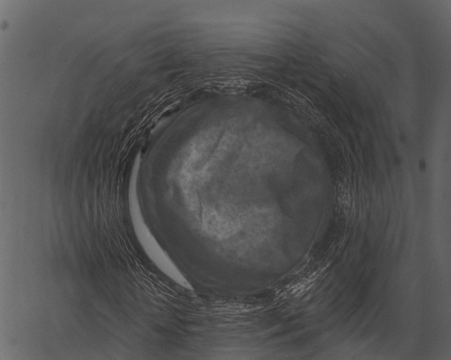 X0000062640818200601111123