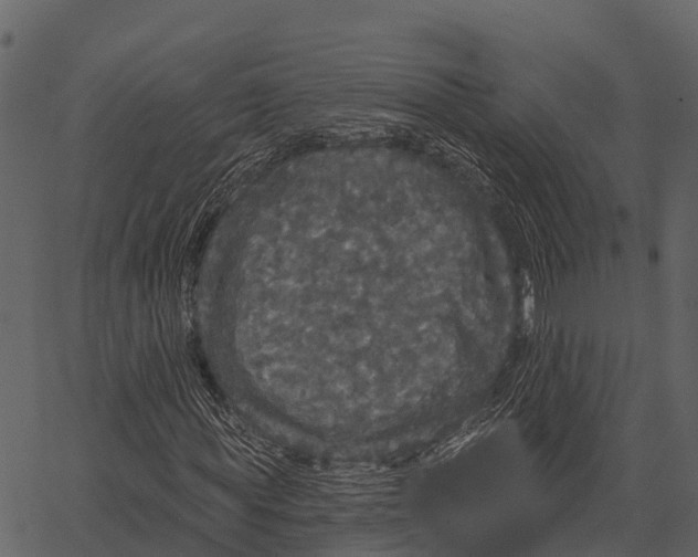 X0000062640819200601111123