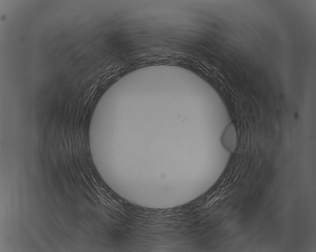 X0000062640820200601111123